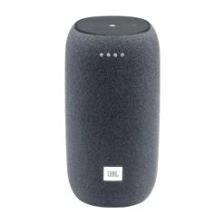 JBL Enceinte Portable Link Portable Grise