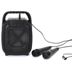 Paris Prix Enceinte Sans Fil Karaoké & 2 Micros 26cm Noir