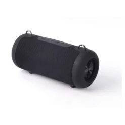 QILIVE Enceinte Q1553 BT Powerbank - Noir